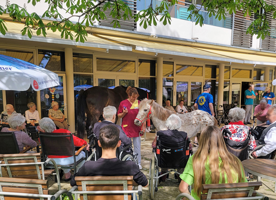 Lions Club Waginger See - Zeit der Begegnung - Pferde in Altenheimen