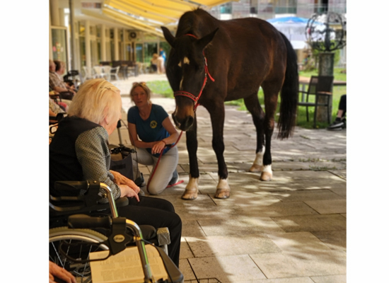 Lions Club Waginger See - Zeit der Begegnung - Pferde in Altenheimen